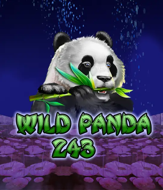 Wild Panda 243